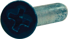 Standard Phillips Bolt 1" Navy Head