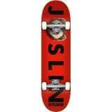 Plan B Complete Skateboards 2021 - Ready To Ride out of the Box! - Skateboard